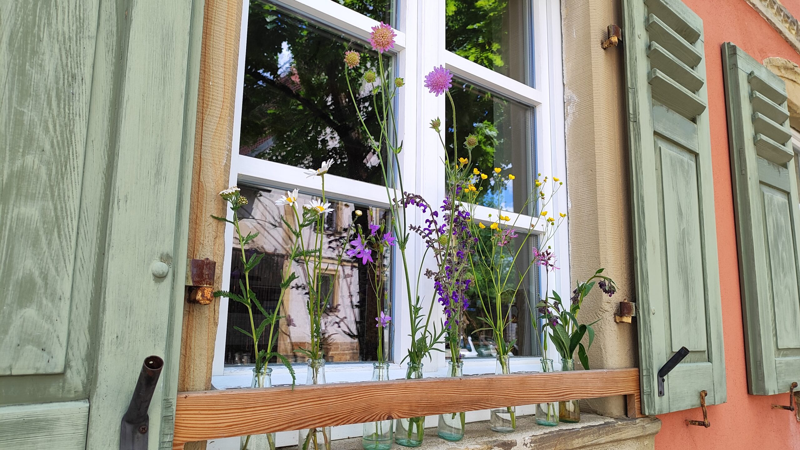 Weiße, lilane und gelbe Wiesenblumen in kleinen Flaschen auf der Fensterbank eines historischen Hauses mit grünen Fensterläden